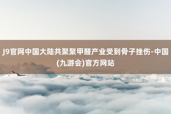 J9官网中国大陆共聚聚甲醛产业受到骨子挫伤-中国(九游会)官方网站