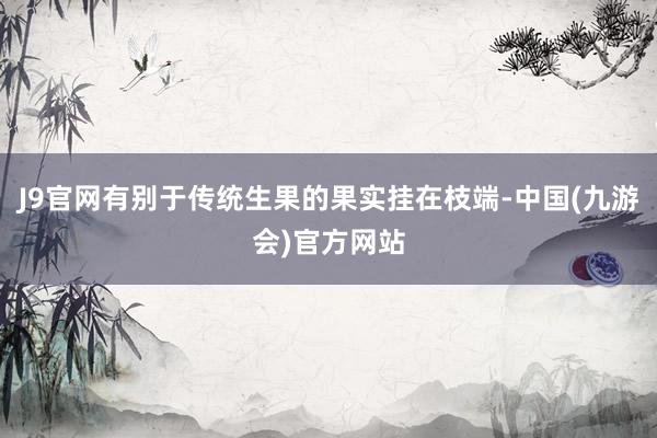 J9官网有别于传统生果的果实挂在枝端-中国(九游会)官方网站