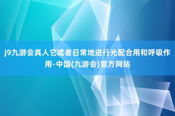 j9九游会真人它或者日常地进行光配合用和呼吸作用-中国(九游会)官方网站